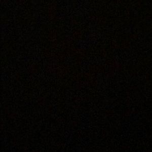 Meet your Posher, Shontavia